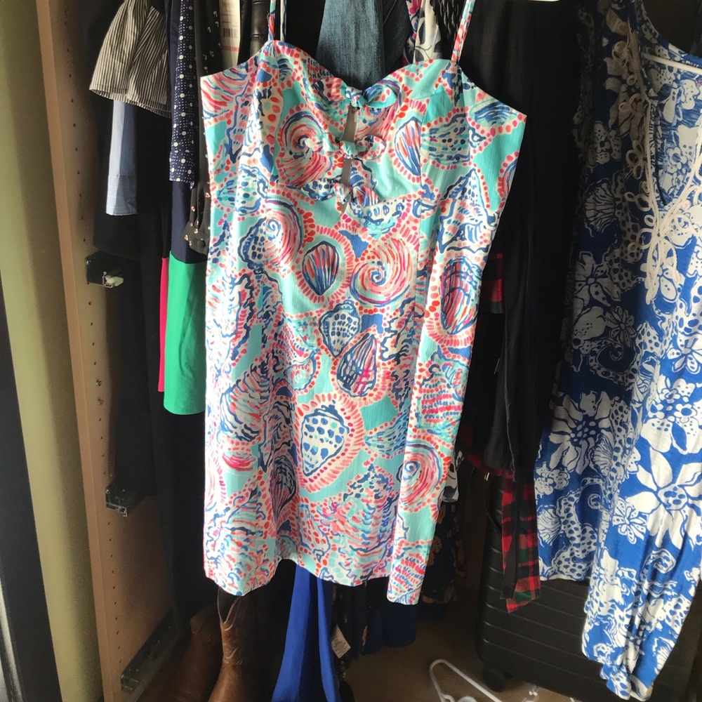 NWT - Lilly Pulitzer Petra Dress